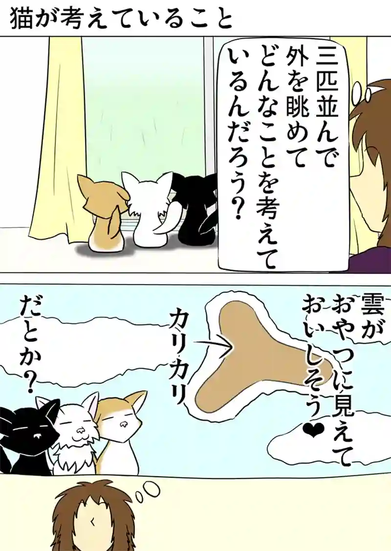 ミーのおもちゃ箱 第1167話～第1172話