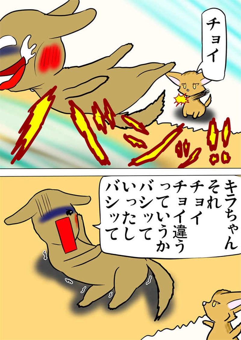 ミーのおもちゃ箱788話～第793話