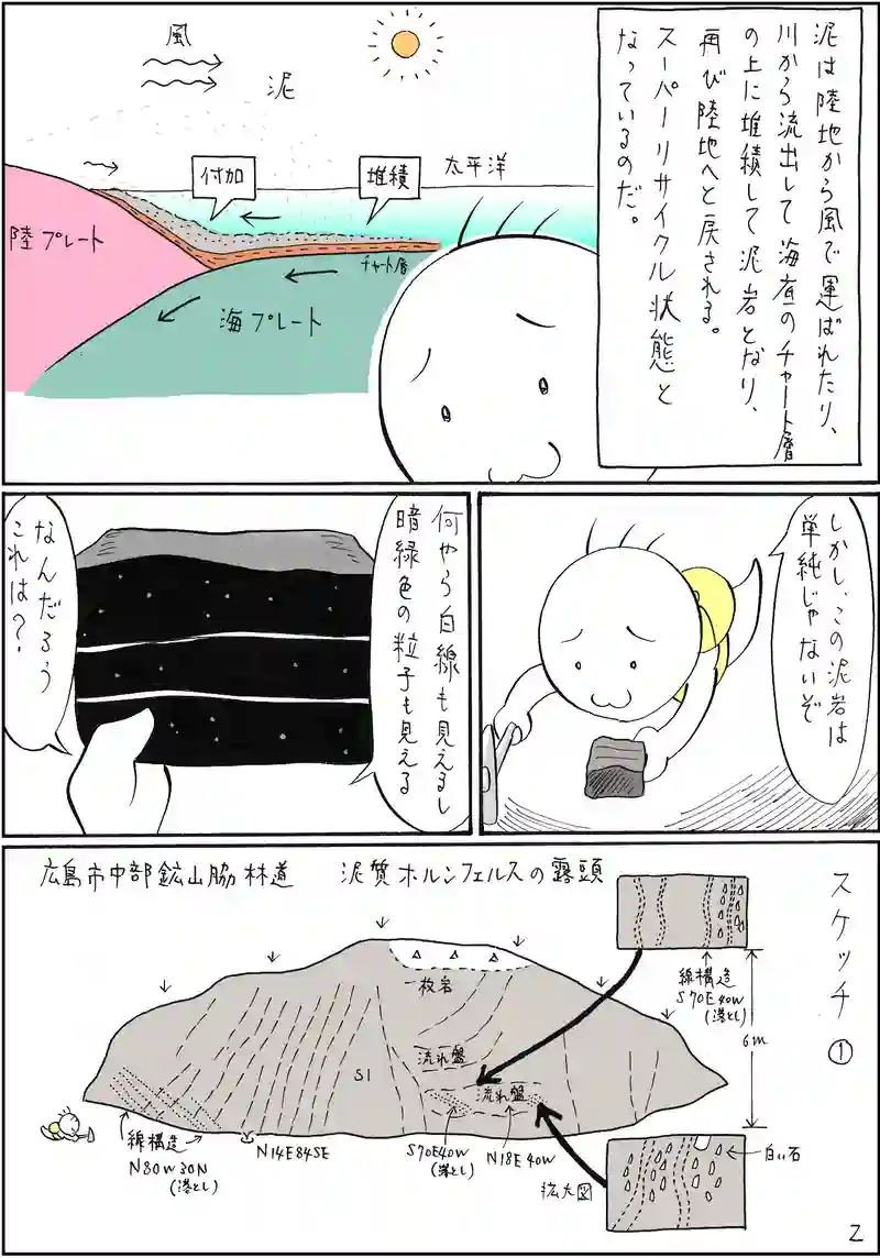 古生層　泥岩