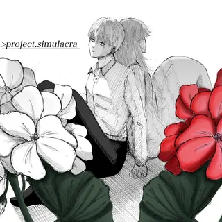 project.simulacra