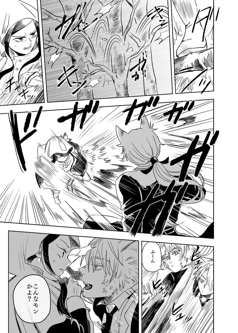 ２．白銀の白頭巾