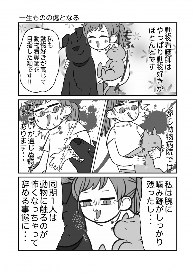 動物看護師の苦悩