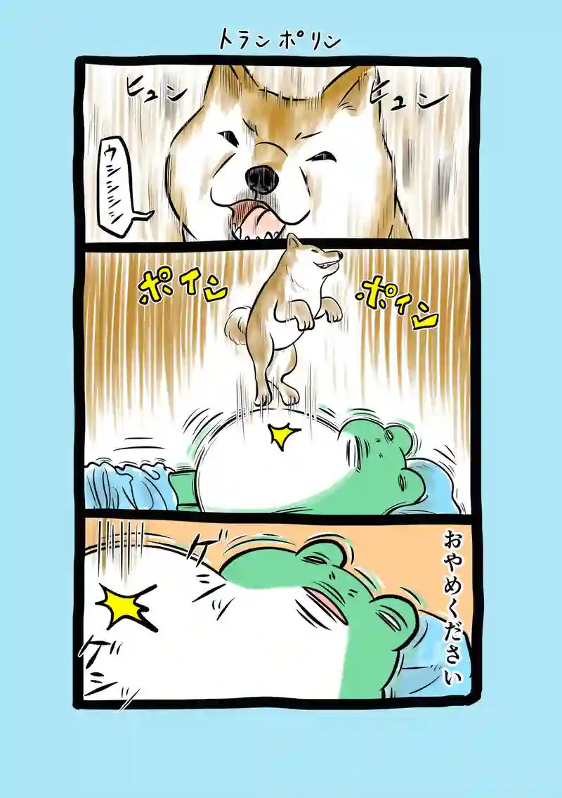 急に来てすぐカエル(311)