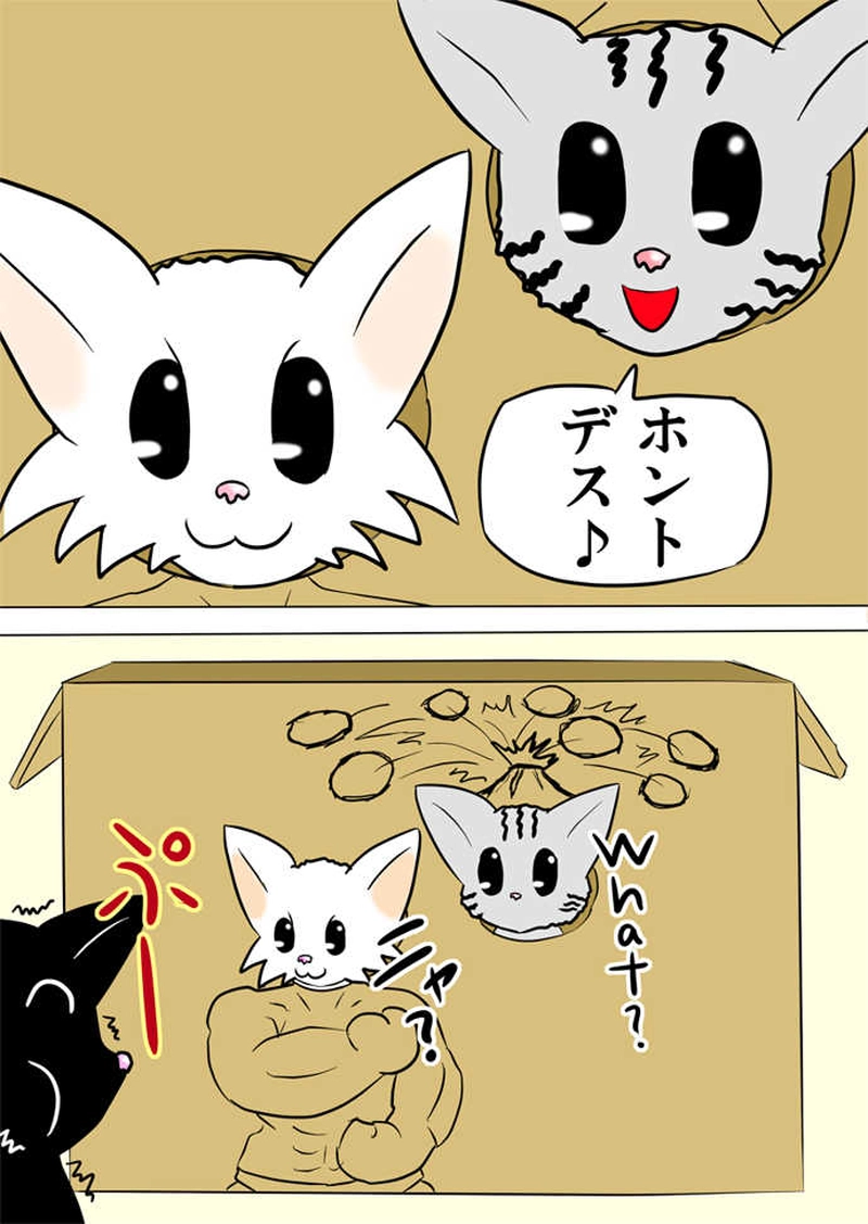 ミーのおもちゃ箱１８８話