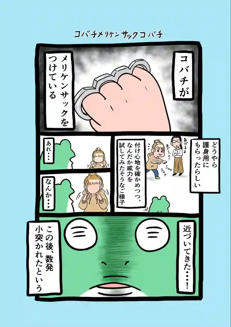 急に来てすぐカエル(240)