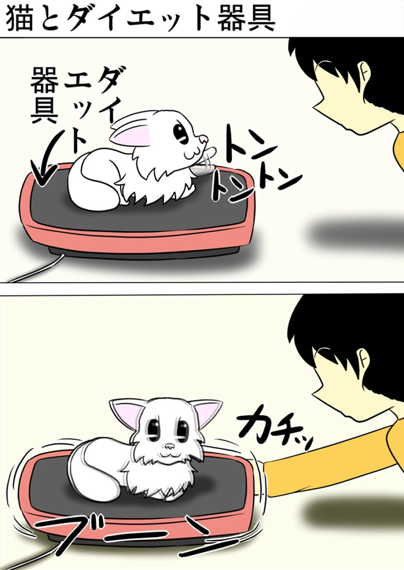 ミーのおもちゃ箱 第1336話～第1341話