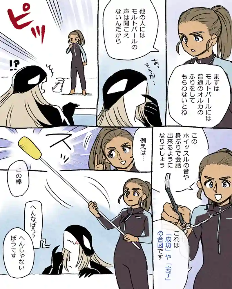 モルトバール１０