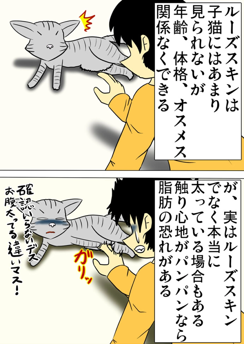 ミーのおもちゃ箱 第1288話～第1293話