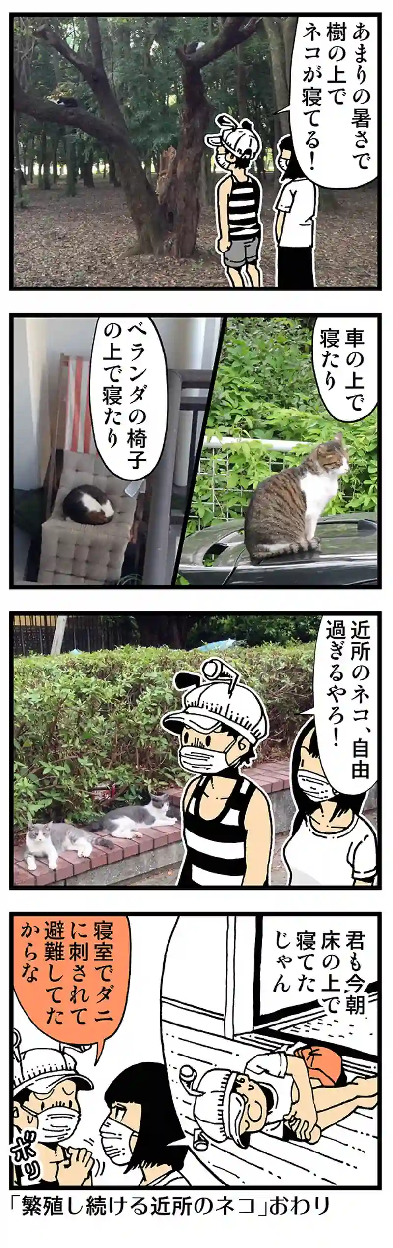 【普通】この４コマの中にネコは何匹登場したでしょう？