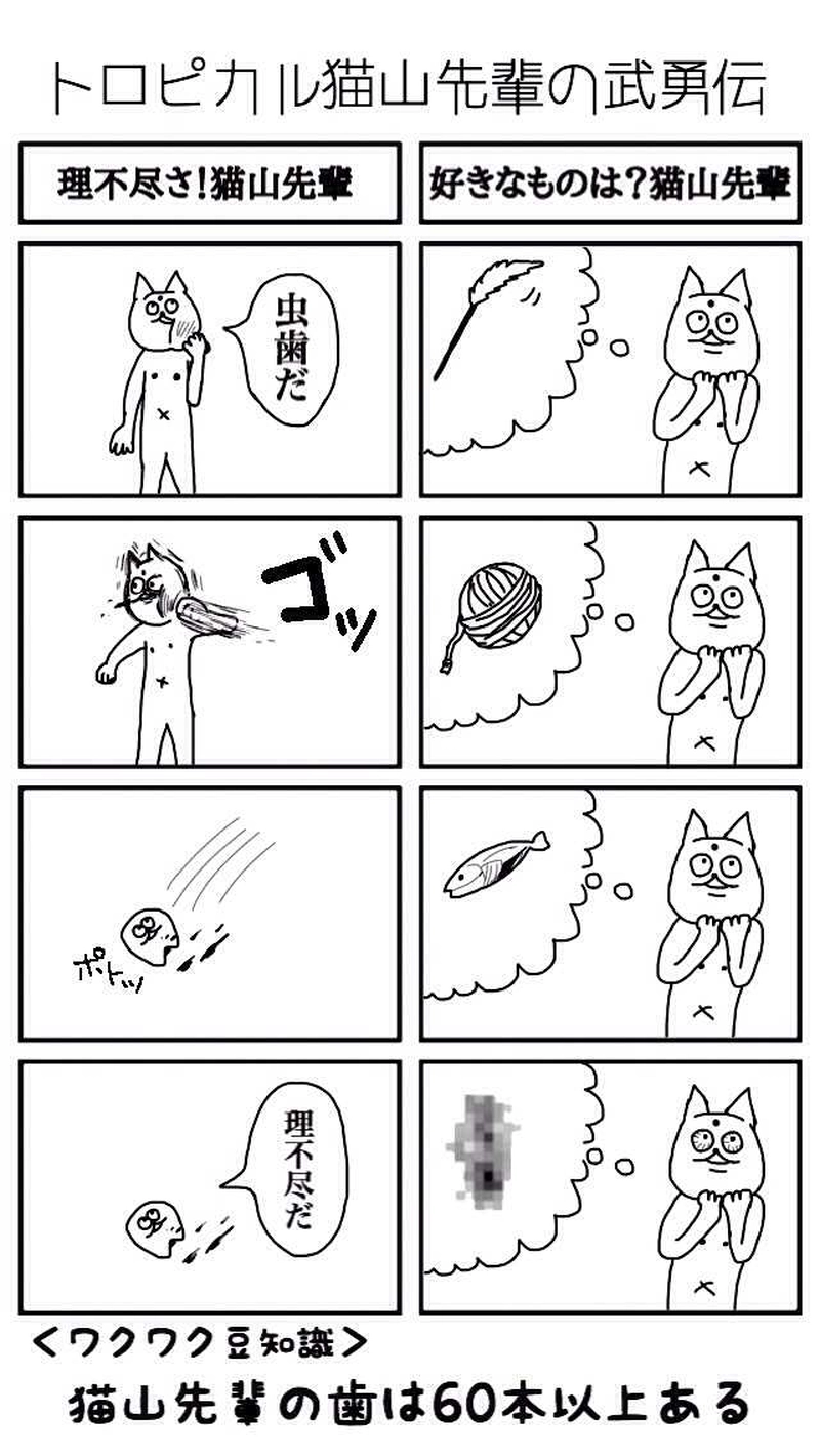 はじめまして！猫山先輩