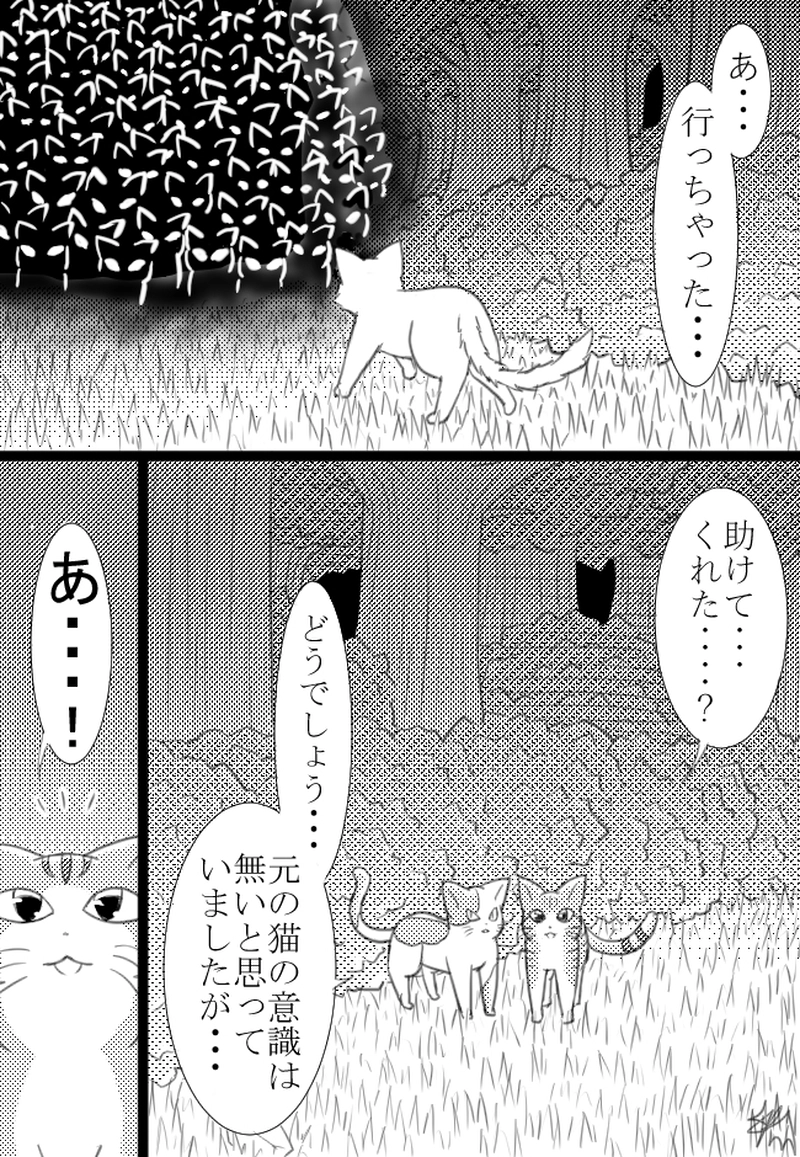 3匹目「キャッツアンドユニバース」