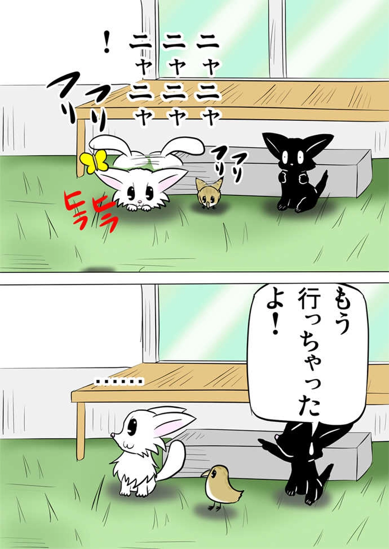 ミーのおもちゃ箱３５２話