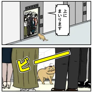 エレベーター