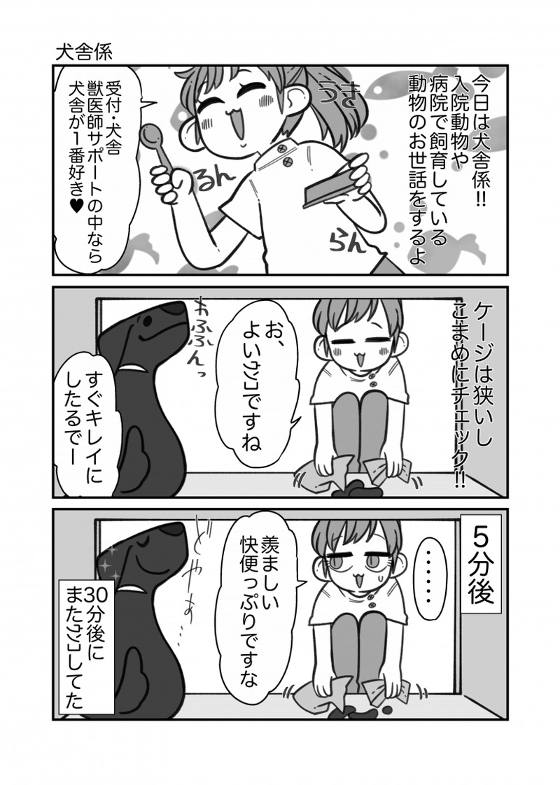 動物看護師の仕事