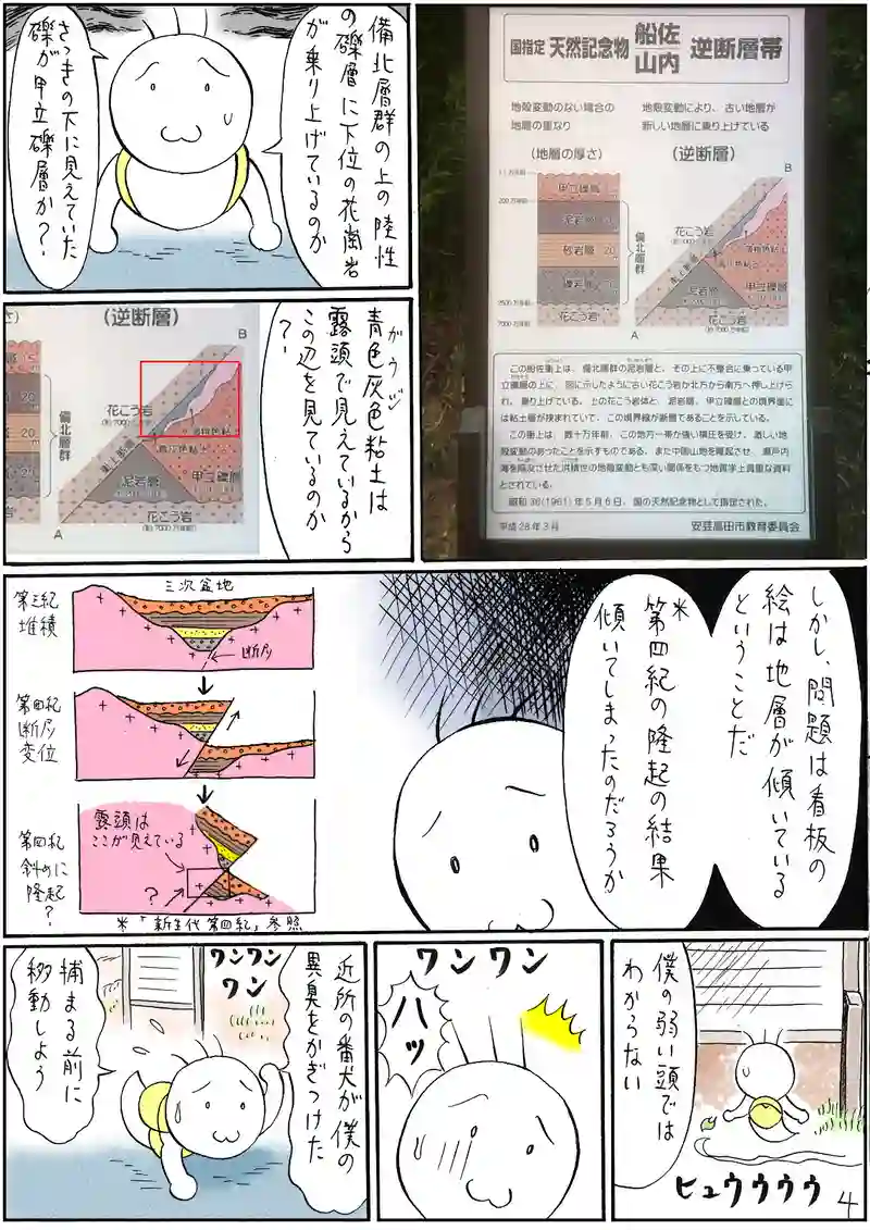 逆断層帯