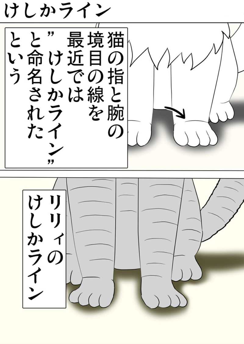 ミーのおもちゃ箱 第1288話～第1293話