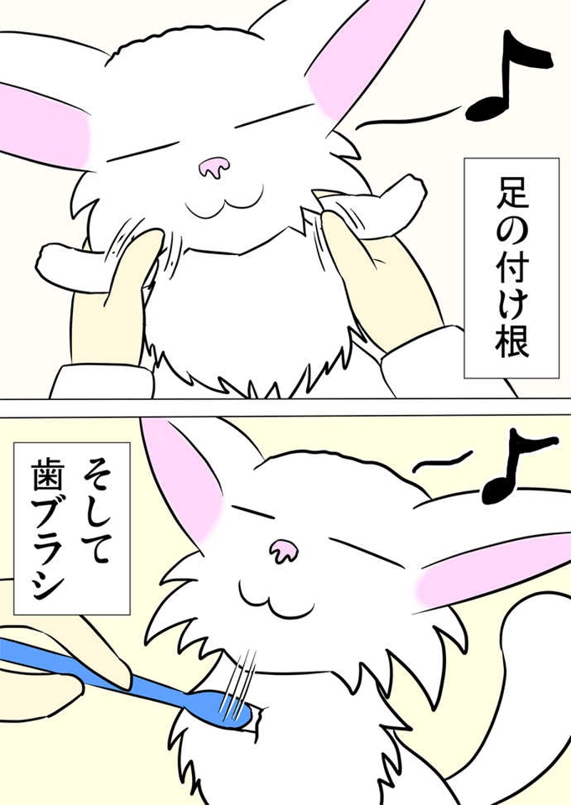 ミーのおもちゃ箱788話～第793話