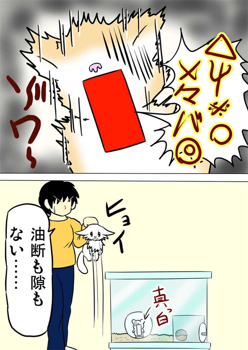 ミーのおもちゃ箱４７２話