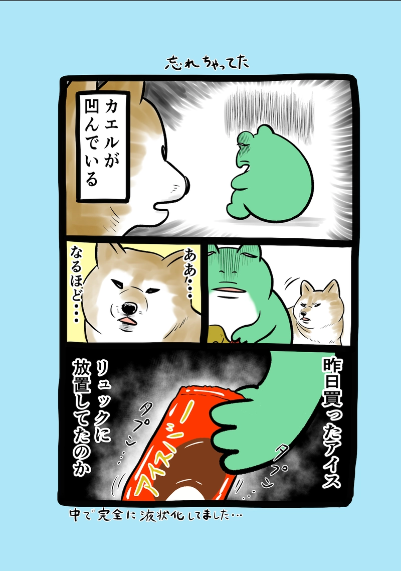 急に来てすぐカエル(304)