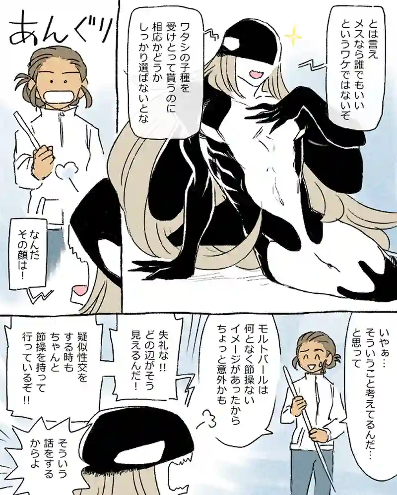 モルトバール５