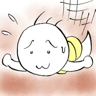 古生層　チャート