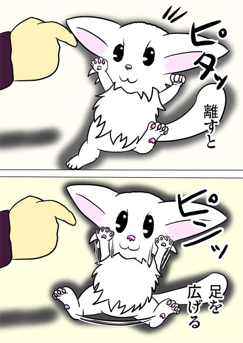 ミーのおもちゃ箱４２８話