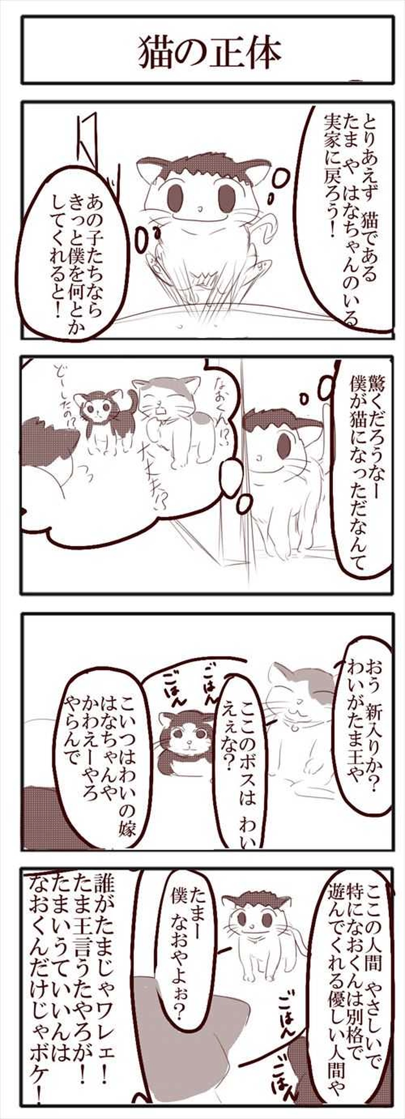 №29　猫になったなおや