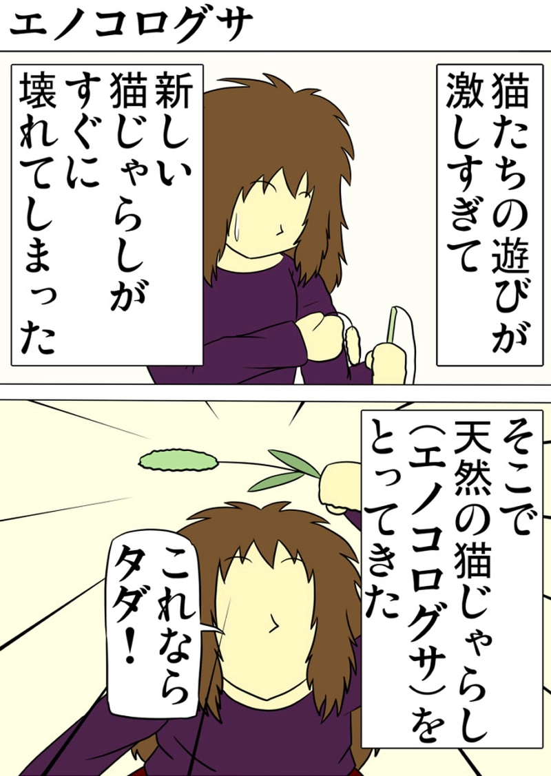 ミーのおもちゃ箱 第1294話～第1299話