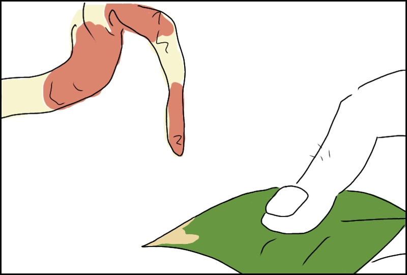 其ノ一のマイナス二十点吾くらい