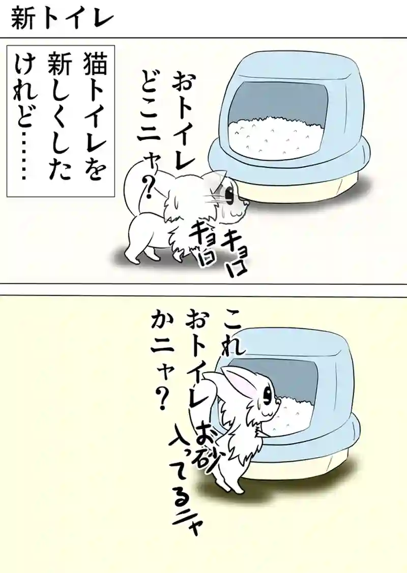 ミーのおもちゃ箱 第1149話～第1154話