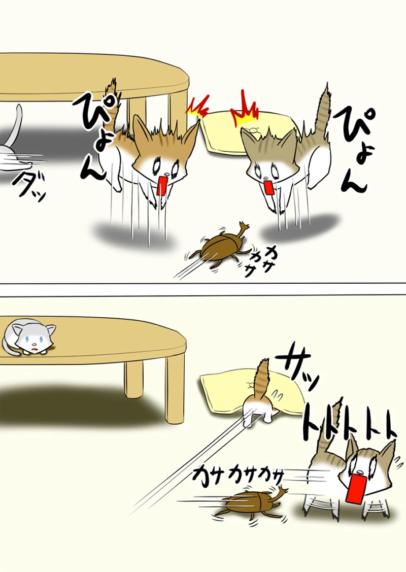 ミーのおもちゃ箱 第1425話～第1428話