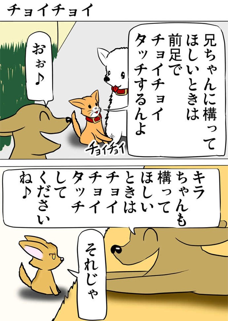 ミーのおもちゃ箱788話～第793話