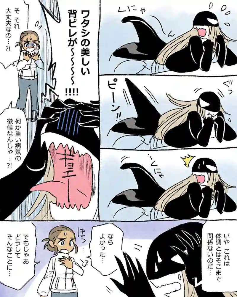 モルトバール８