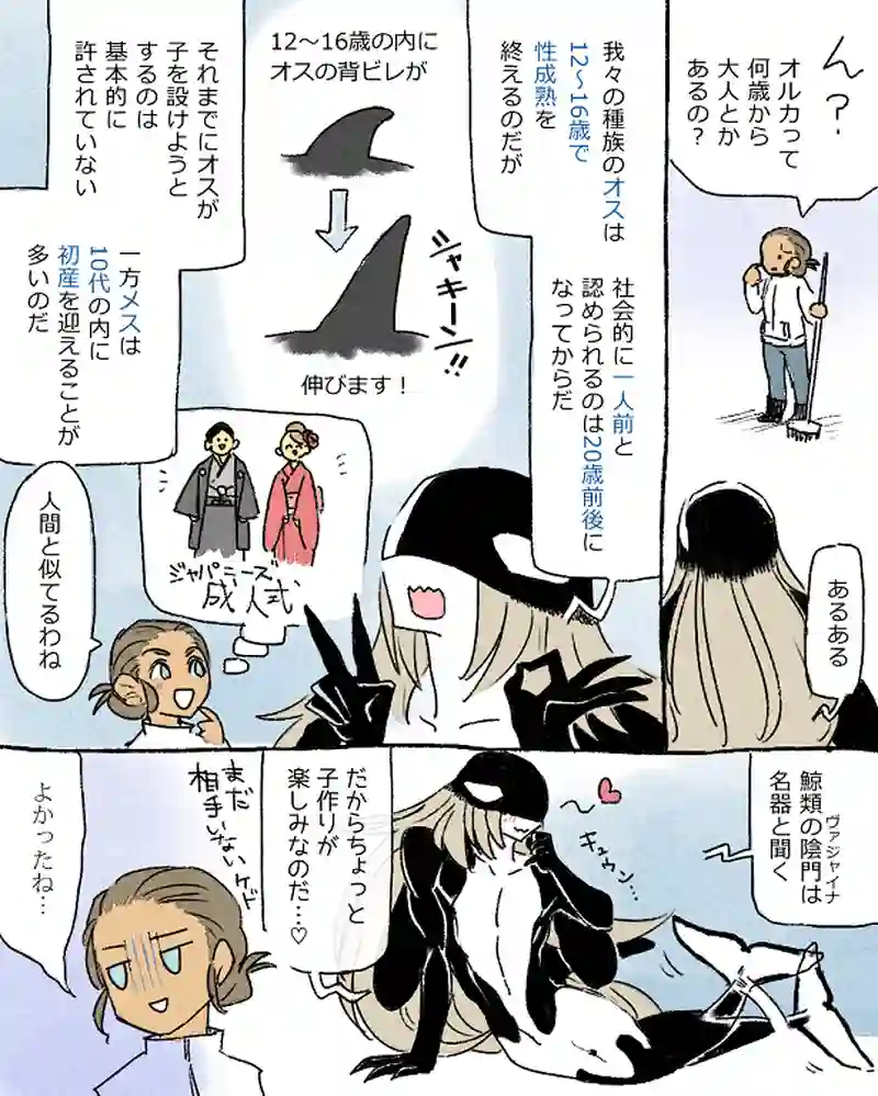 モルトバール５