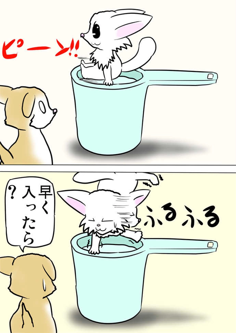 ミーのおもちゃ箱３７８話