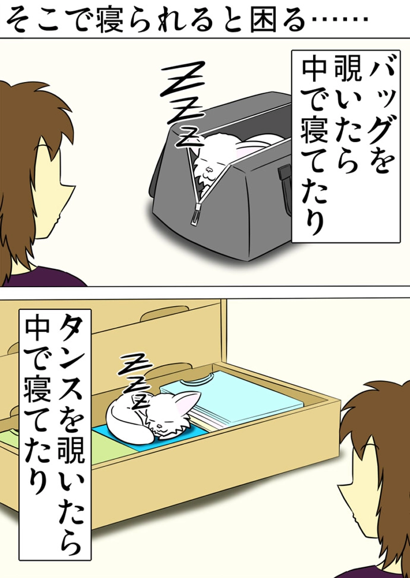 ミーのおもちゃ箱 第1300話～第1305話