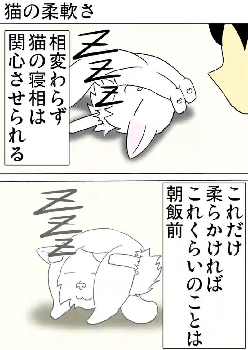 ミーのおもちゃ箱 第1185話～第1190話