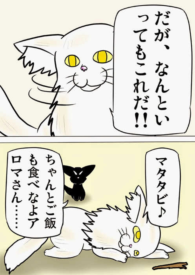 ミーのおもちゃ箱１６５話