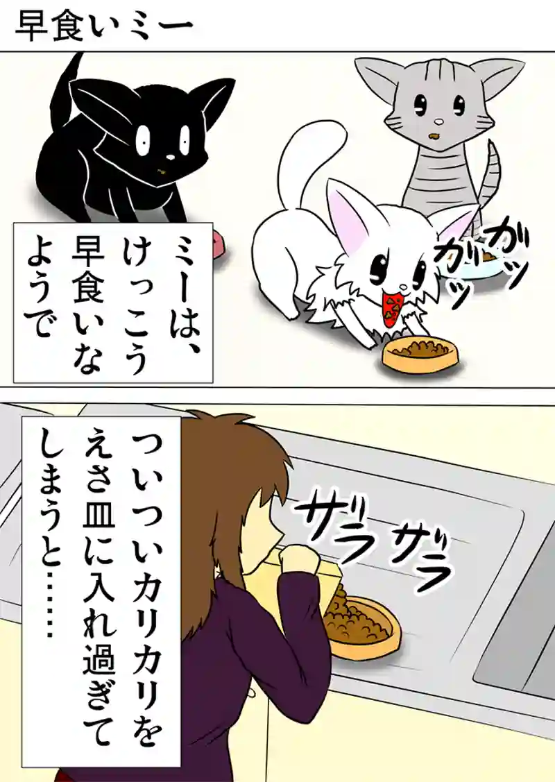 ミーのおもちゃ箱 第999話～第1004話