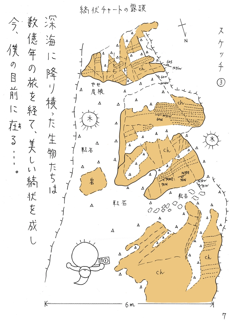 古生層　チャート