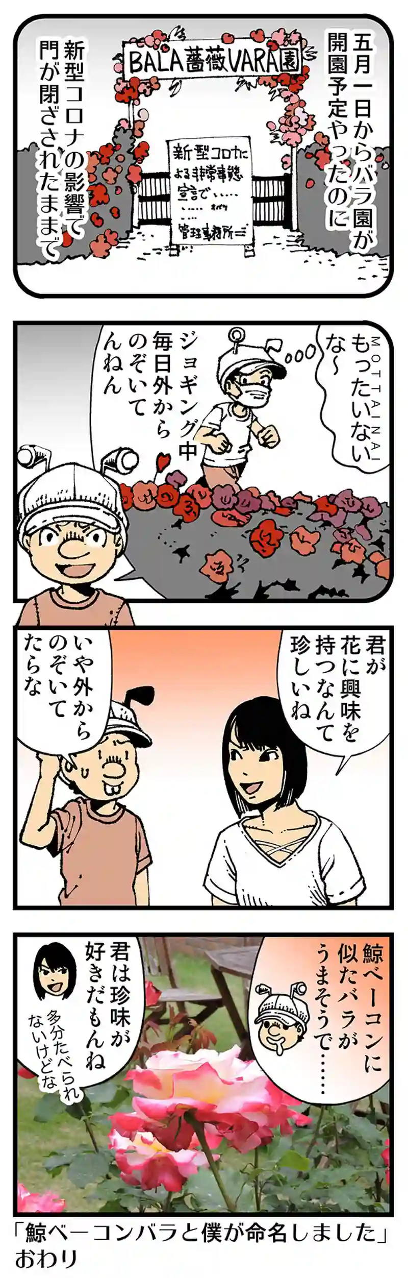 【普通】バンバラバンバンバン♪