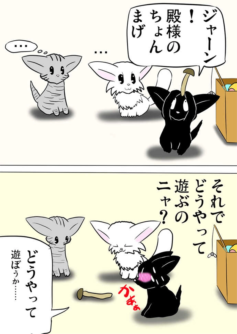 ミーのおもちゃ箱３１９話