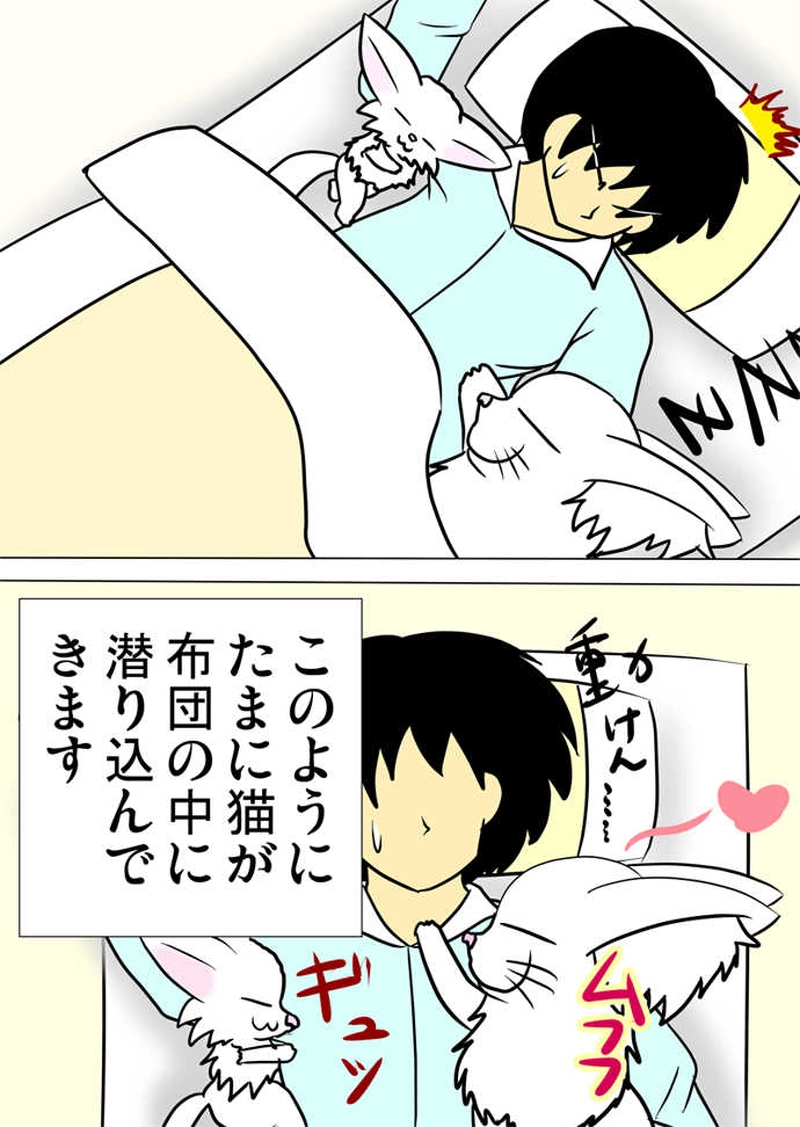 ミーのおもちゃ箱３００話