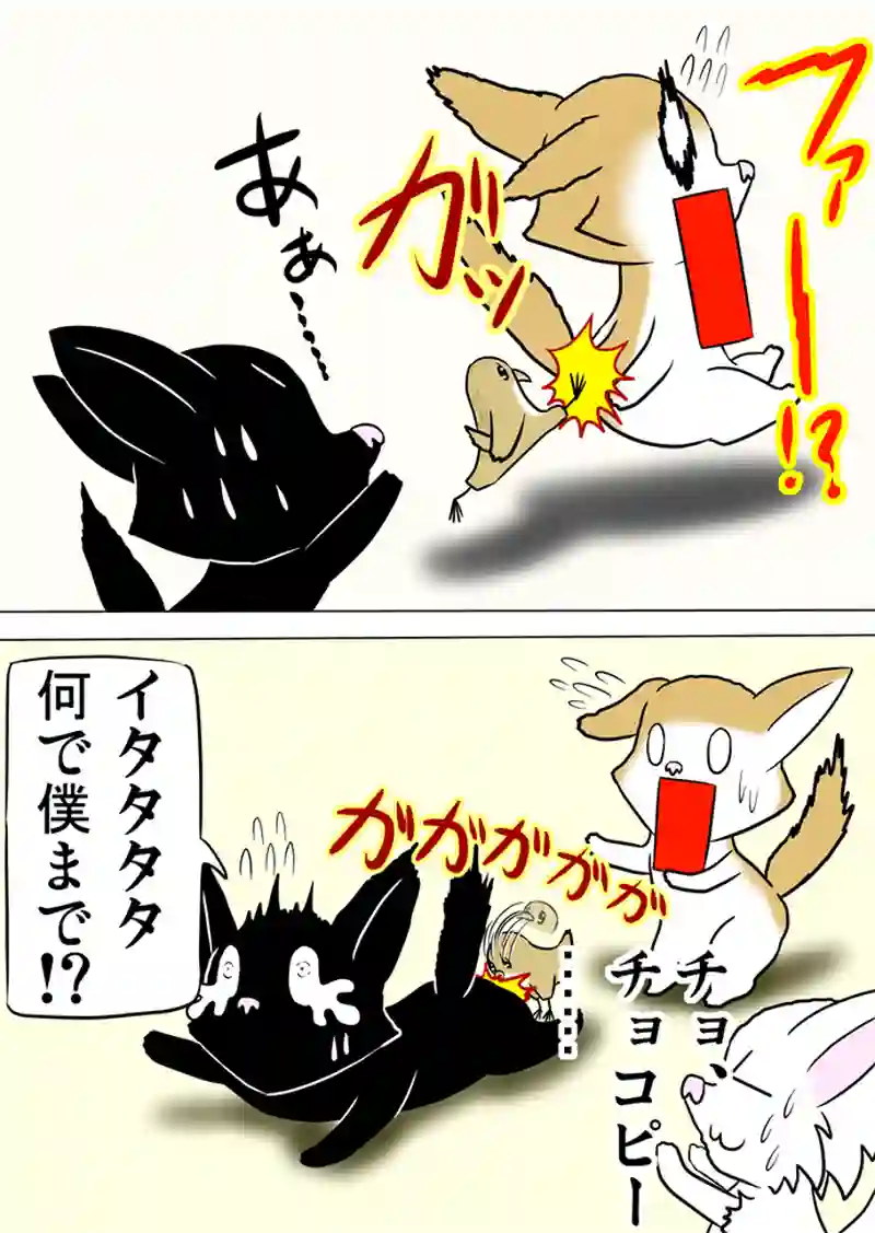 ミーのおもちゃ箱 第1041話～第1046話