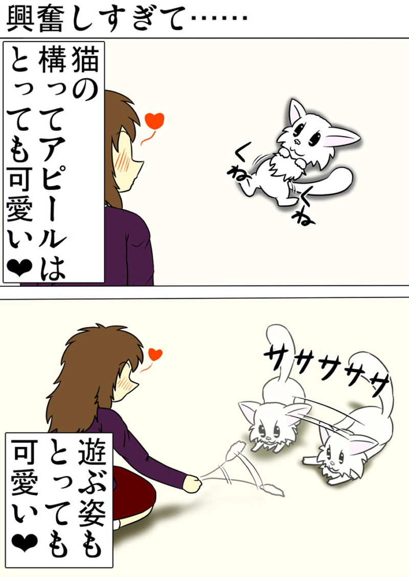 ミーのおもちゃ箱 第1300話～第1305話