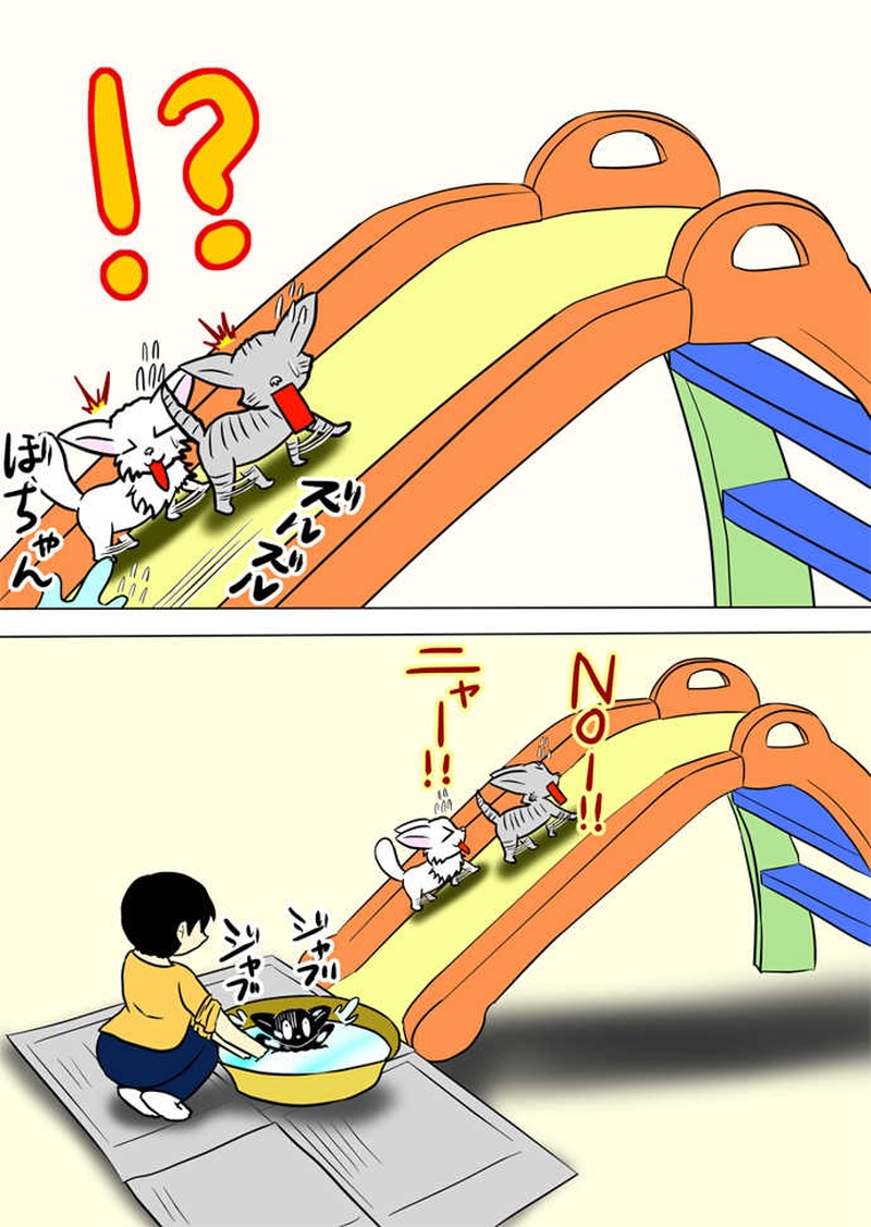 ミーのおもちゃ箱788話～第793話