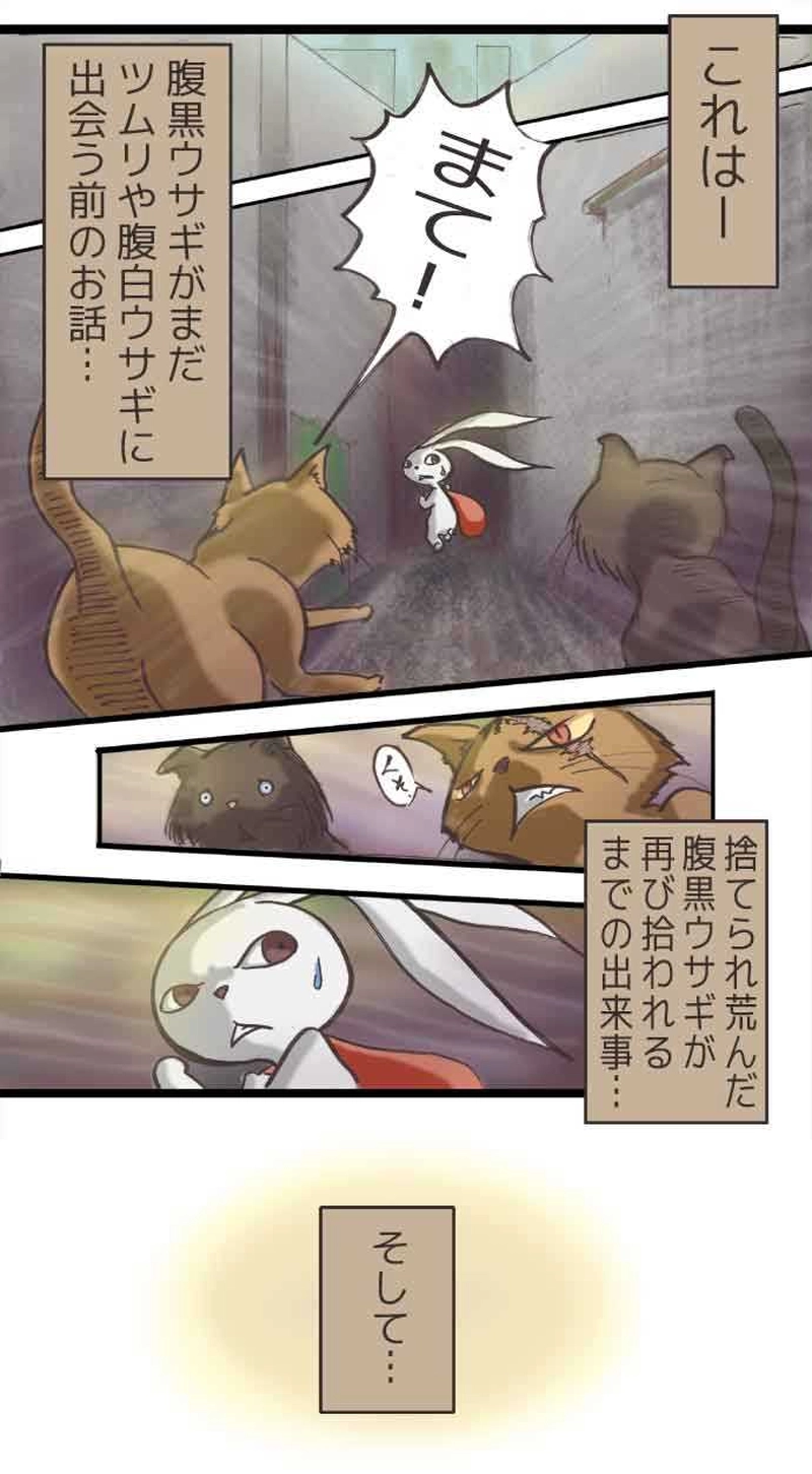 腹黒ウサギと腹白ネコ（前編）