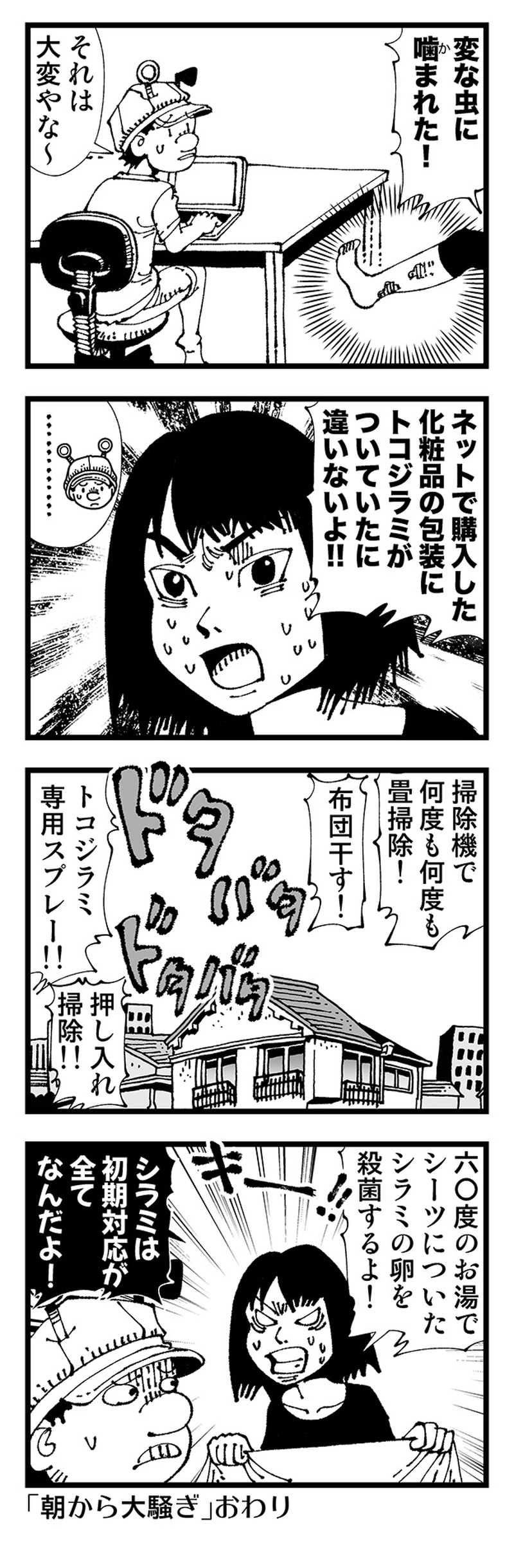 【普通】トコジラミの恐怖