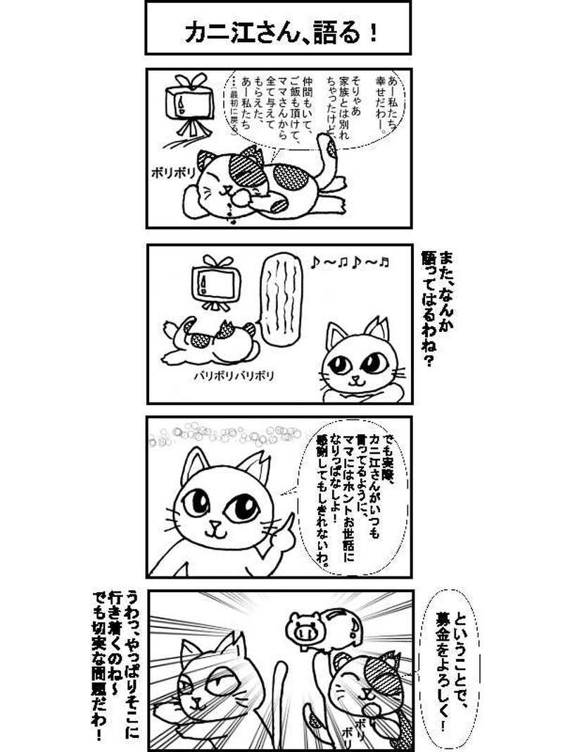 〇〇猫のなかまたち～サクラカットネコの日々 その３