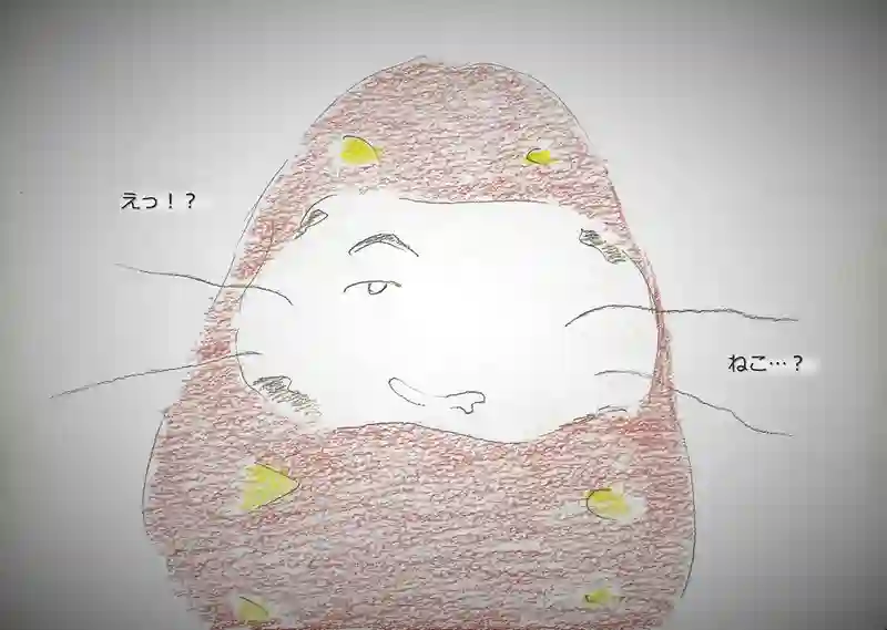 LAP.153 麗和寮の怪